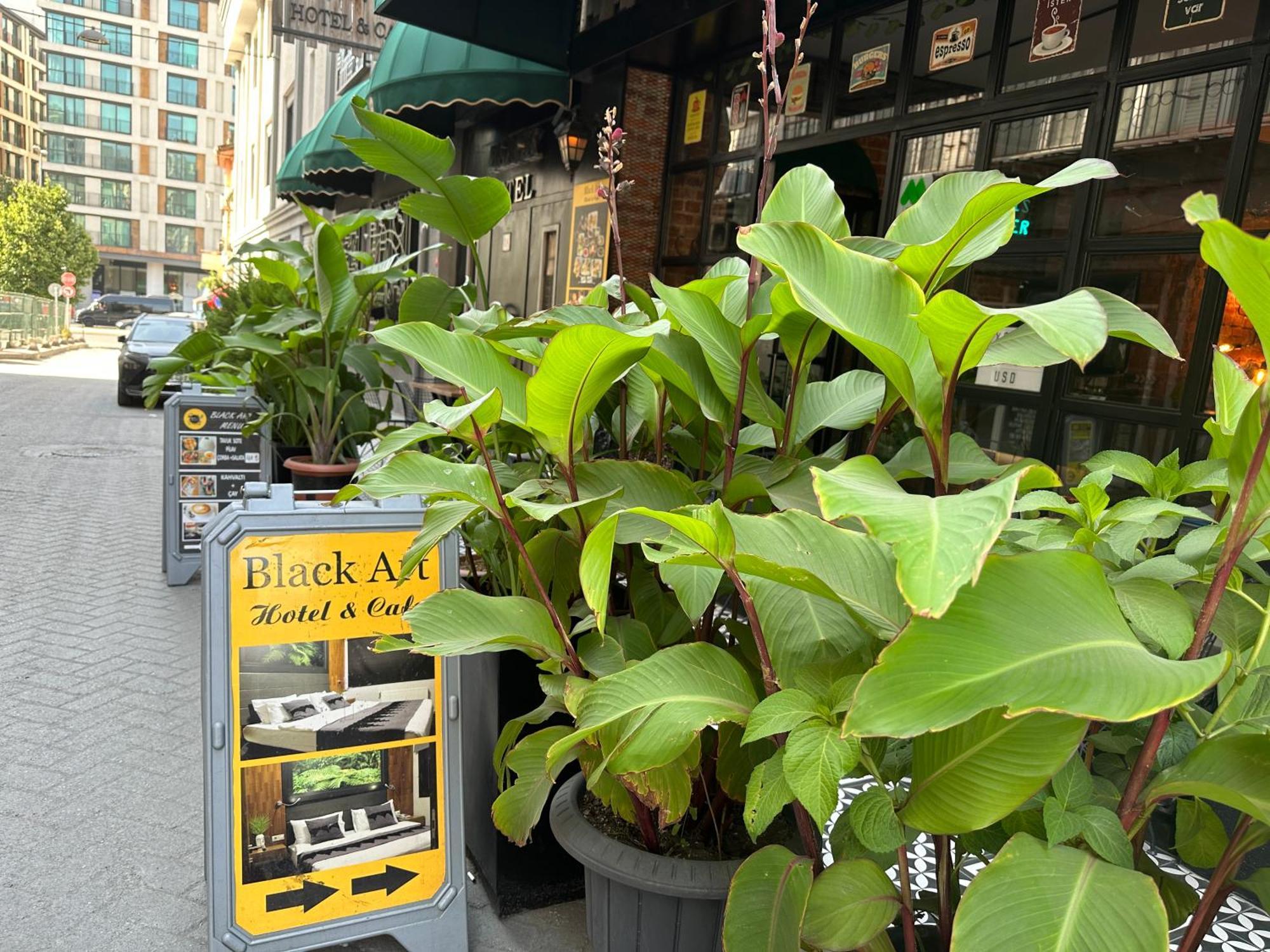 Black Art Otel — Foto’s 1